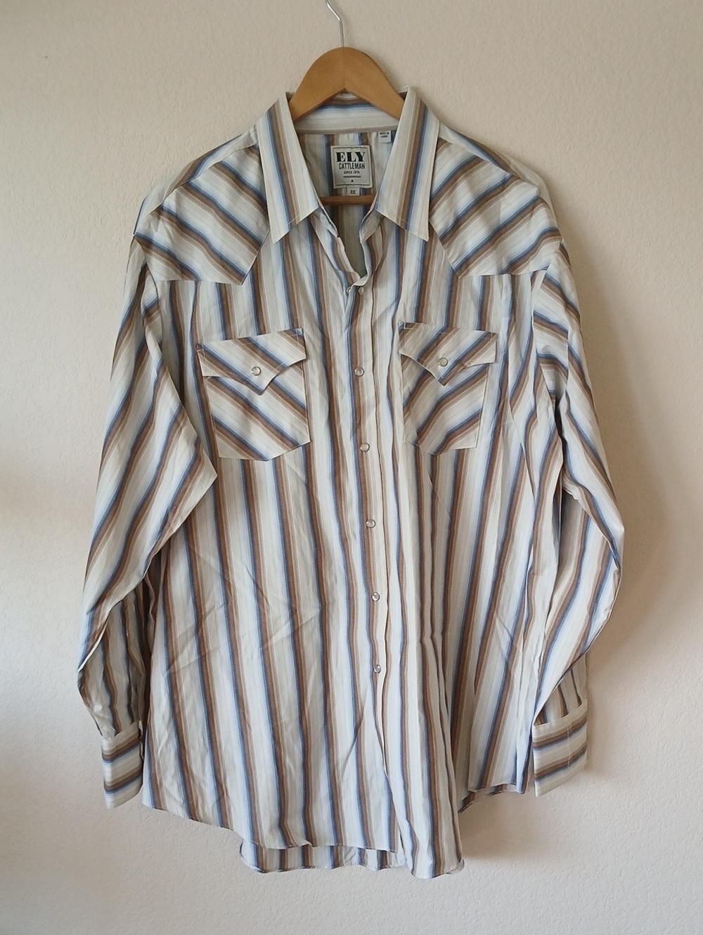 Ely Cattleman Striped Pearl Snap Button Up Western Shirt